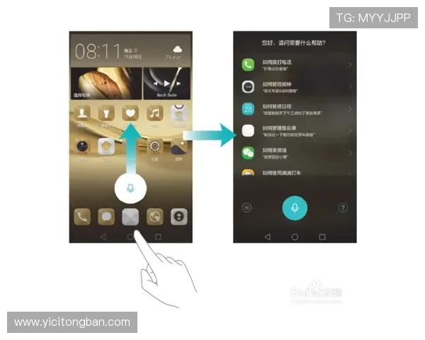 壹号平台彩票新手指南，快速上手轻松开启购彩之旅